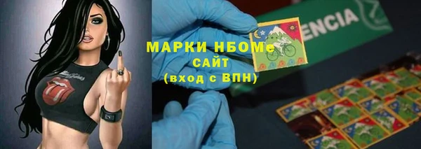 индика Алзамай