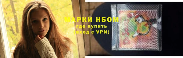 индика Алзамай