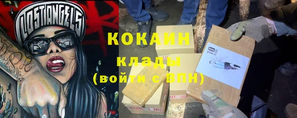 индика Алзамай