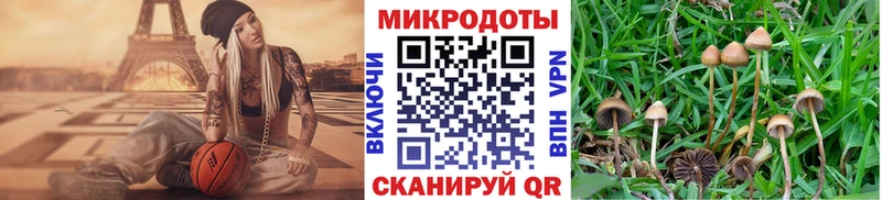Галлюциногенные грибы GOLDEN TEACHER  как найти закладки  Омск 
